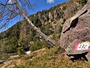 30 Sono sul sentiero dei roccoli (sent. 272)